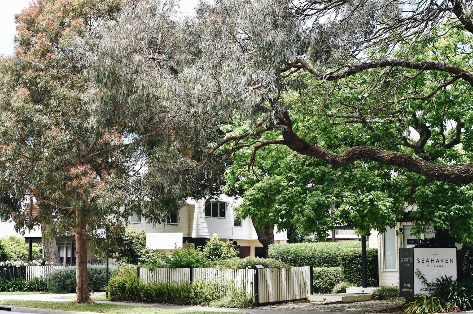 Seahaven Village Barwon Heads Exteriör bild